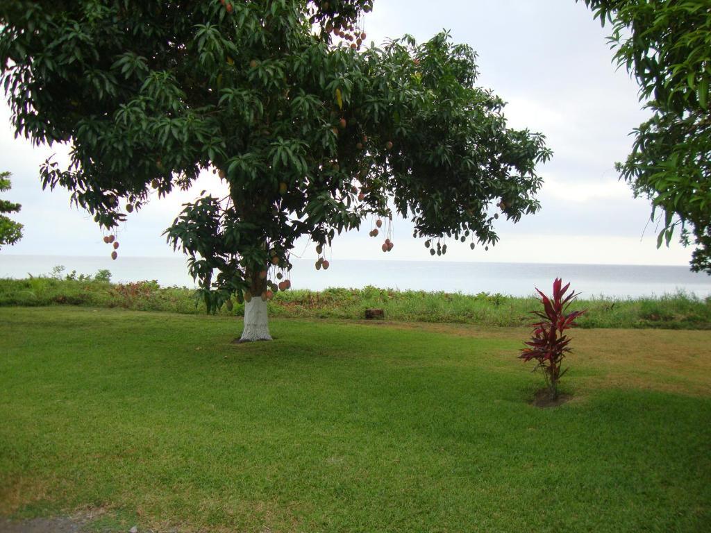 By The Sea Vacation Home And Villa Port Antonio Szoba fotó